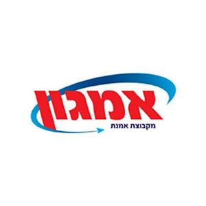 ישראל ישראלי